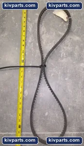 Goodyear BX61 Industrial Timing Belt – actual item, photo 2 of 3