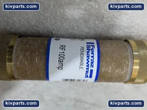 Mersen RF100 Renewable Fuse – actual item, photo 4 of 6