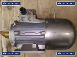 AT80A4 Neri Motori Induction Motor – actual item, photo 3 of 4