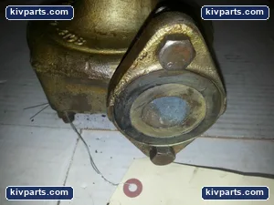 P9-41CB Bell and Gossett Pump Bearing – actual item, photo 3 of 4