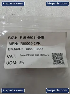 Bussmann R60030-2PR Fuses – actual item, photo 2 of 11