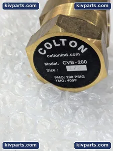 CVB-200 Colton Brass Check Valve – actual item, photo 3 of 5