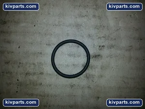 1555121 Rotary Lobe Pump Sanitary Seal – actual item, photo 2 of 2