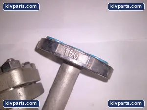 YS-61 Titan-FCI Class 150 – actual item, photo 3 of 8