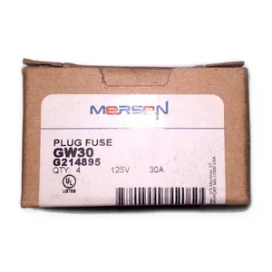 Mersen GW30 G214895 Fuse