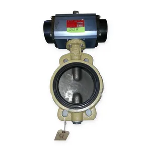 DN150 Valve