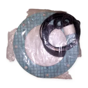 DN 100 Gasket