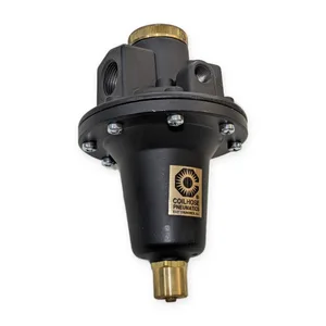 Coilhose Pneumatics Air Pressure Regulator