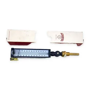 Timaseries 3.R8RE Gauge