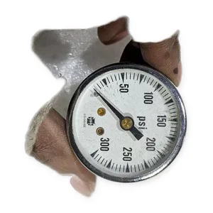 U.S. Gauge USG 0-300 PSI