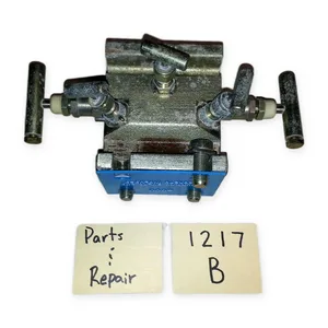 5-VALVE Stainless Steel DP Gauge