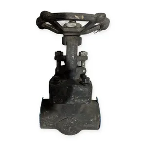 Y6261805746 Valve