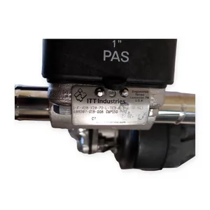 ITT 698597-019-008 PureFlo Diaphragm Valve