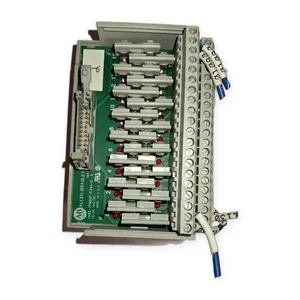 Allen-Bradley 1492-IFM20F-F24A-2 Terminal Block