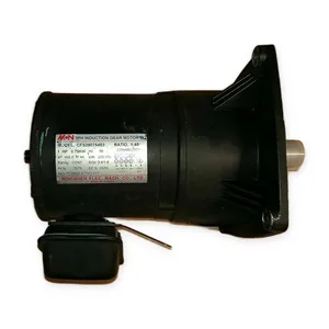 CFS28075453 Minchuen Induction Gear Motor