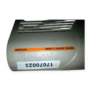 Westinghouse 1C31122G31 Digital Output Module