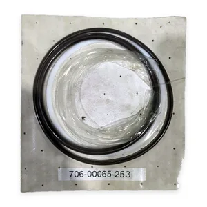 Item A06-12-004 Packing Kit O-Rings PTFE Seal