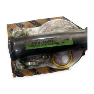 Pulsafeeder KPLCC02KA03 KOPkit Diaphragm Metering Pump