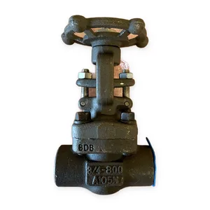 Powell GA08TA58BG A105 Gate Valve