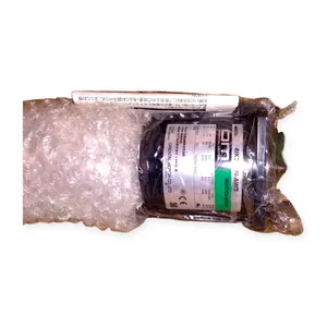 Oriental 4IK25GN-AW2U Motor
