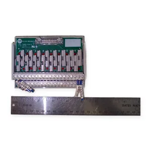 Allen-Bradley 1492-IFM20F-F24A-2 Fusible Interface Module