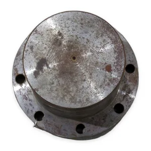Falk PAPO1-C 251674 Steelflex Coupling