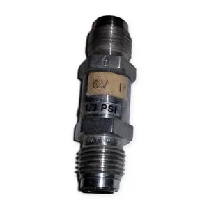 Swagelok Check Valve