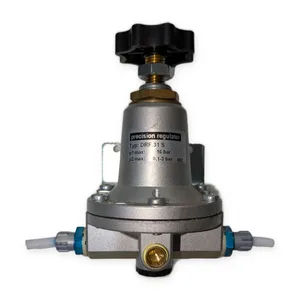 DRF.31 Precision Regulator