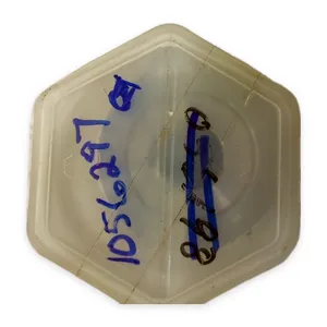 Bran+Luebbe LO562 541061 Back Pressure Valve