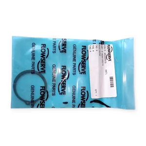 Flowserve 95223475 Retaining Ring Snap Ring Pump