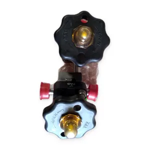 ITT PAS Sanitary Diaphragm Valve