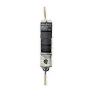 Allen-Bradley 1492-FB1C30 Fuse Holder