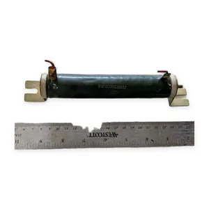 RWH100G30 Ohm Ceramic Resistor