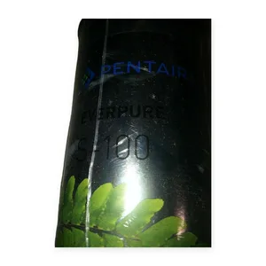 Pentair S-100 System Commercial Filter