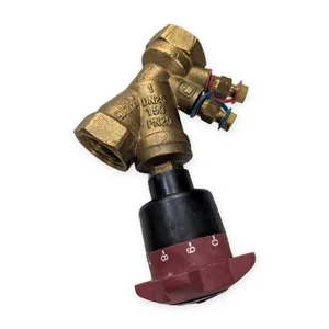 DN25 PN20 Brass Circuit Balancing Valve