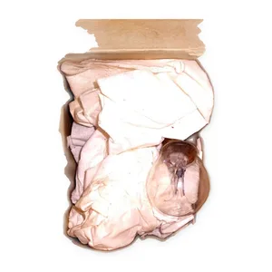 BULB 1683