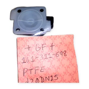 GF D20DN15 Seal