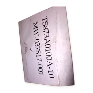 TS873A0100A-10 Automatic Transfer Switch