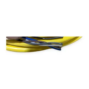 Phoenix Contact 1406168 M12 Cordset Female Cable