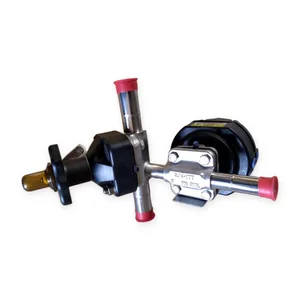 ITT 75-F-428-X20-P1 Dual Valve