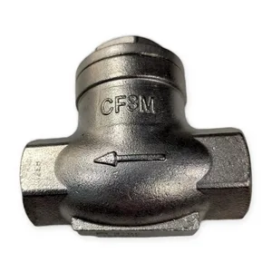 CF8M Steel Swing Check Valve – actual item, photo 1 of 5