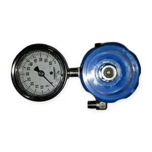 Ashcroft PR1-1L11A3D114 Go Regulator