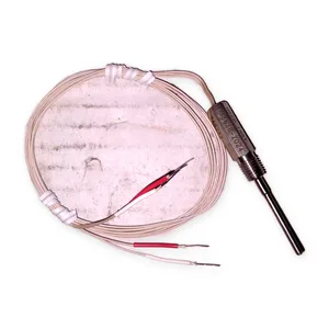 9A-3563B-Z024 2 Ft Leads Industrial Control