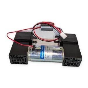 Globe Motors 403A607 Gast DC Vacuum Pump