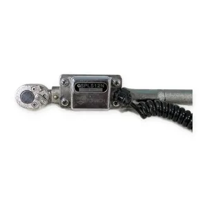 QSPLS12N Limit Switch