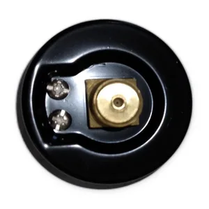 200-BDD Pressure Gauge