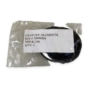 Century DSP-K-246 Cylinder Seal