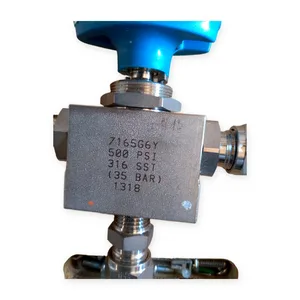 Hoke 7165G6Y Selecto-Mite Ball Valve