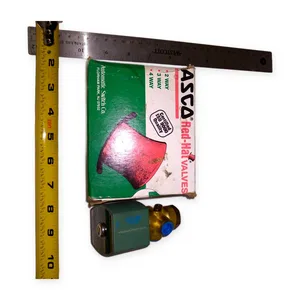 ASCO 308171 Red-Hat Valves