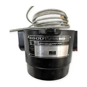 Ashcroft T761T10 030 Temperature Switch
